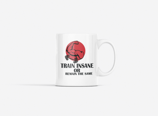 Train Insane or Remain The Same Printed Ceramic Coffee Mug 250 Ml